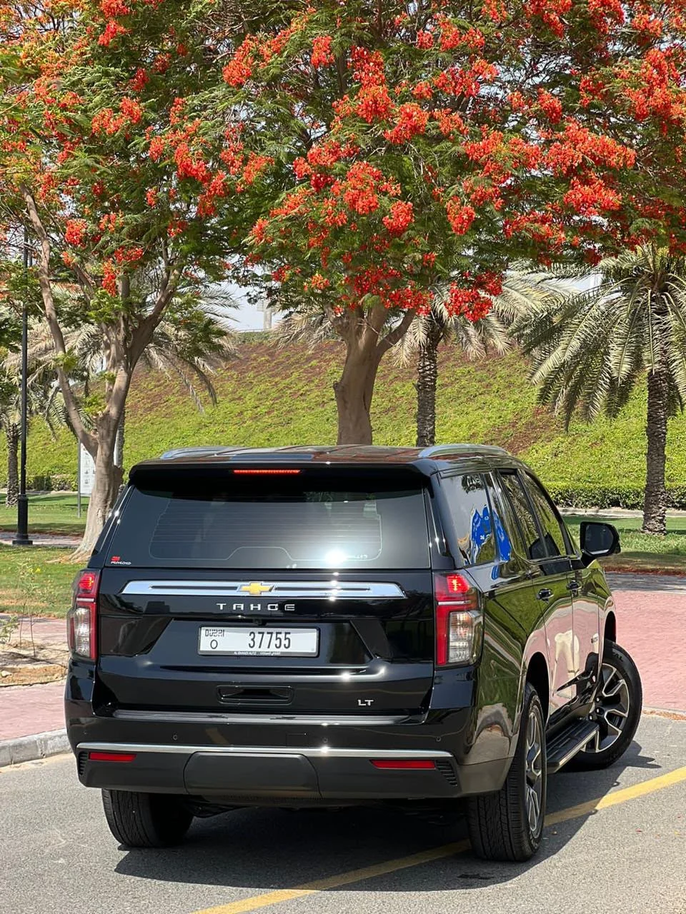 2024 Chevrolet Tahoe Black, view 3
